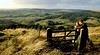 Sutton Bank