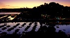 Torquay