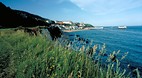 Ventnor
