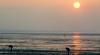 Whitstable