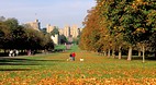 Windsor