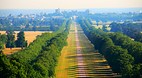 Windsor