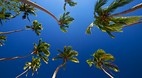Coral Coast