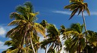 Nacula Island