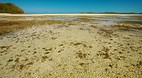Nacula Island