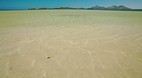 Nacula Island