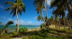 Nacula Island