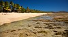 Nacula Island