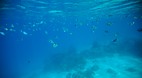 Nanuya Balavu Island