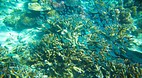 Nanuya Balavu Island
