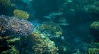 Yasawa Islands