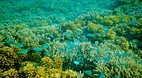 Yasawa Islands