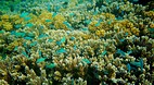Yasawa Islands