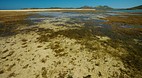 Yasawa Islands