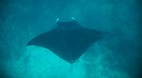 Yasawa Islands