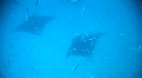 Yasawa Islands
