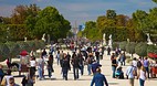 Champs Elysees