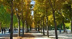 Champs Elysees