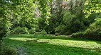 Fontaine-de-Vaucluse