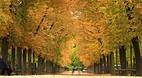 Luxembourg Gardens