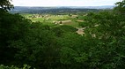 Menerbes