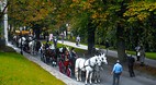 Black Forest (Schwar..