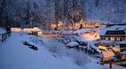 Black Forest (Schwar..