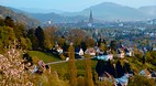 Black Forest (Schwar..