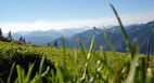 Bavaria