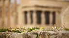 Acropolis