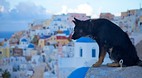 Greek Islands