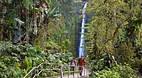 Akaka Falls State Pa..