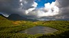 Alekoko, Menehune Fish Pond