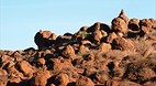 Garden of the Gods (..