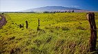 Hamakua Heritage Cor..