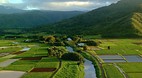 Hanalei Town