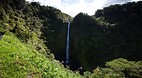Hawaii
