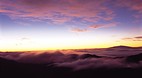 Maui