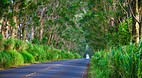 Kauai