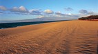Lanai City
