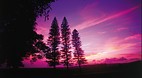 Lanai