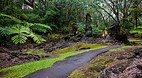 Lava Tree State Park