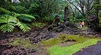 Lava Tree State Park