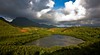 Lihue