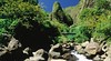 Maui