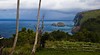 North Kohala