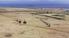 Parker Ranch