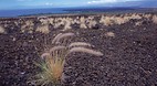 Hawaii