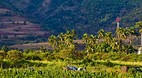 Oahu