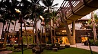 Waikiki